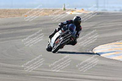 media/Jan-14-2024-SoCal Trackdays (Sun) [[2e55ec21a6]]/Turns 9 and 8 (10am)/